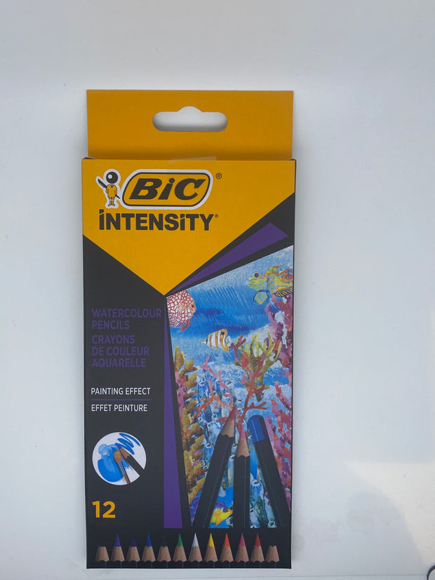 Pastelli acquerellabili BIC Intensity 12pz